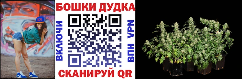 Купить наркотики цена Лесосибирск А ПВП  COCAIN  Амфетамин  Гашиш  Мефедрон 