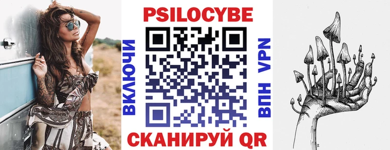 Псилоцибиновые грибы Cubensis  Лесосибирск 