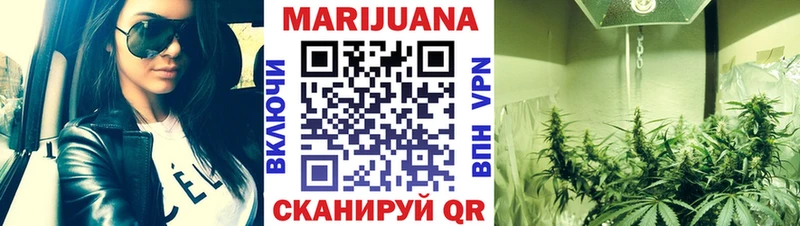 Шишки марихуана планчик  Лесосибирск 